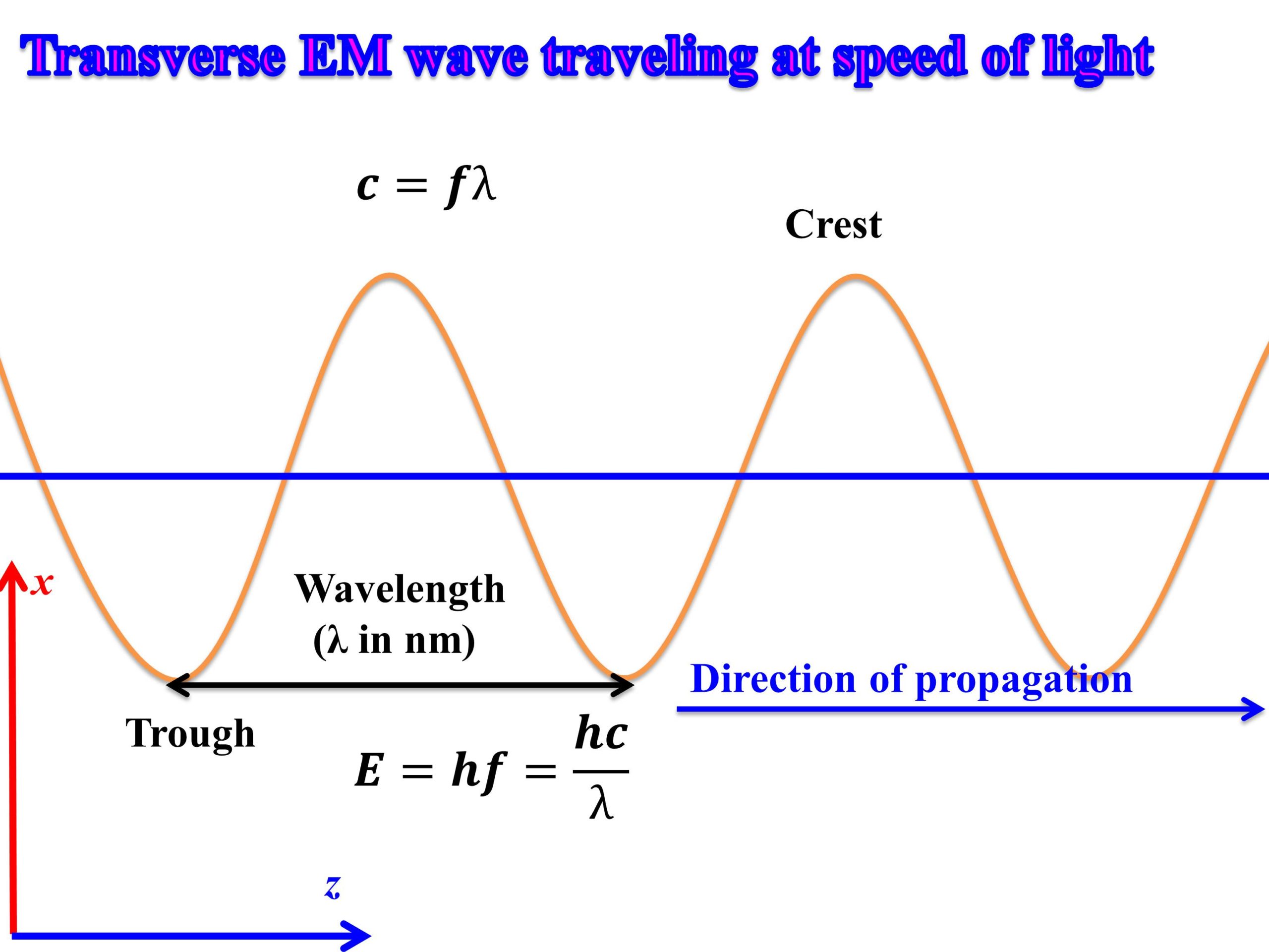 Depiction of Transverse waves, crests, troughs, and wavelength.