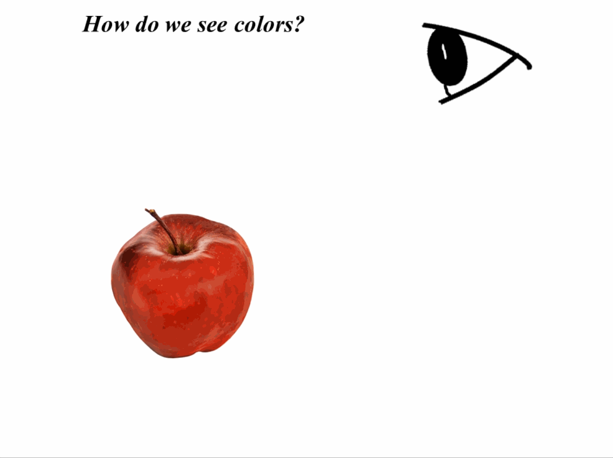 How does the human eye see colors?