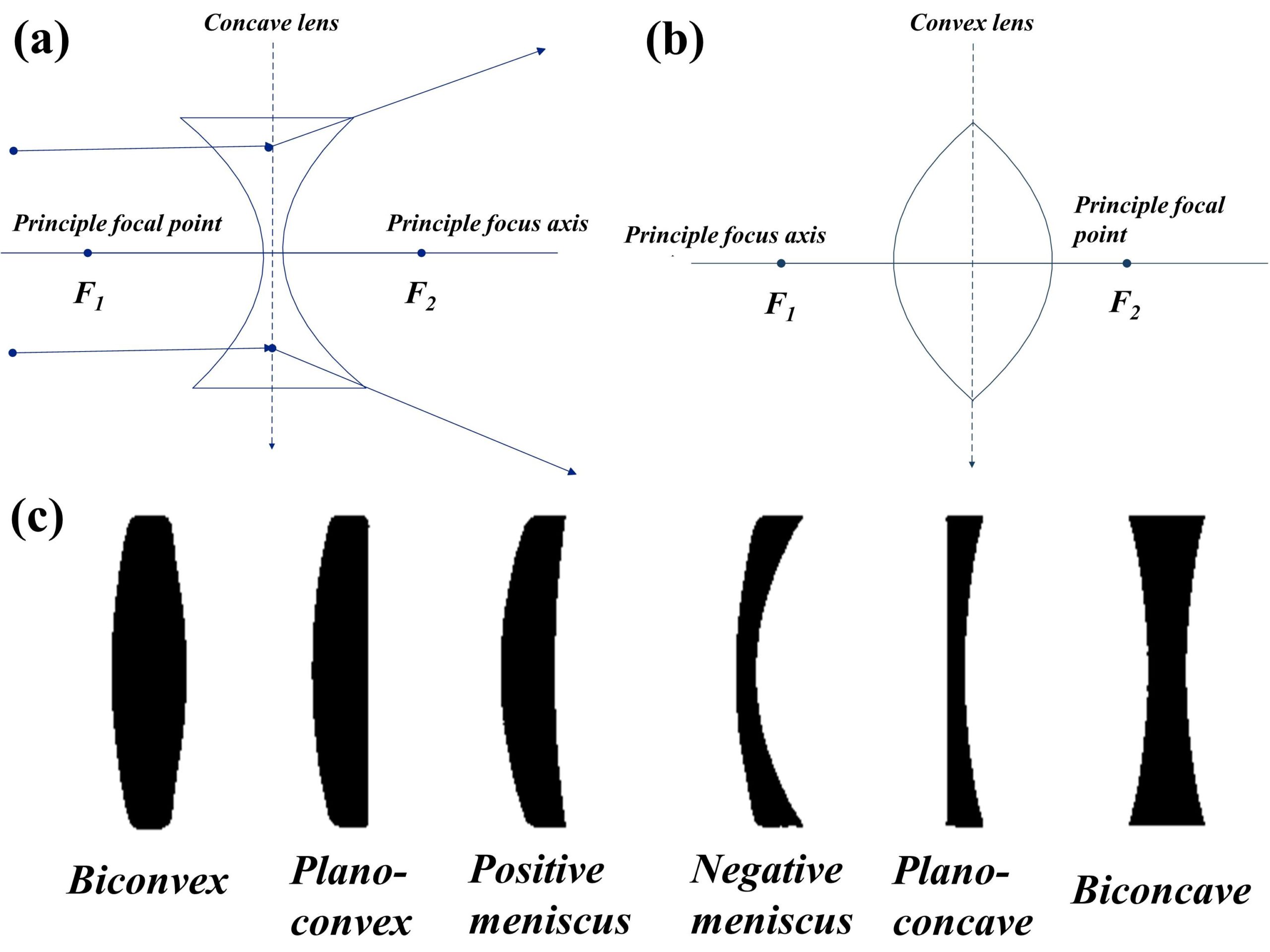 Concave lens (diverging lens), Convex lens (converging lens), and different types of concave and convex lenses.