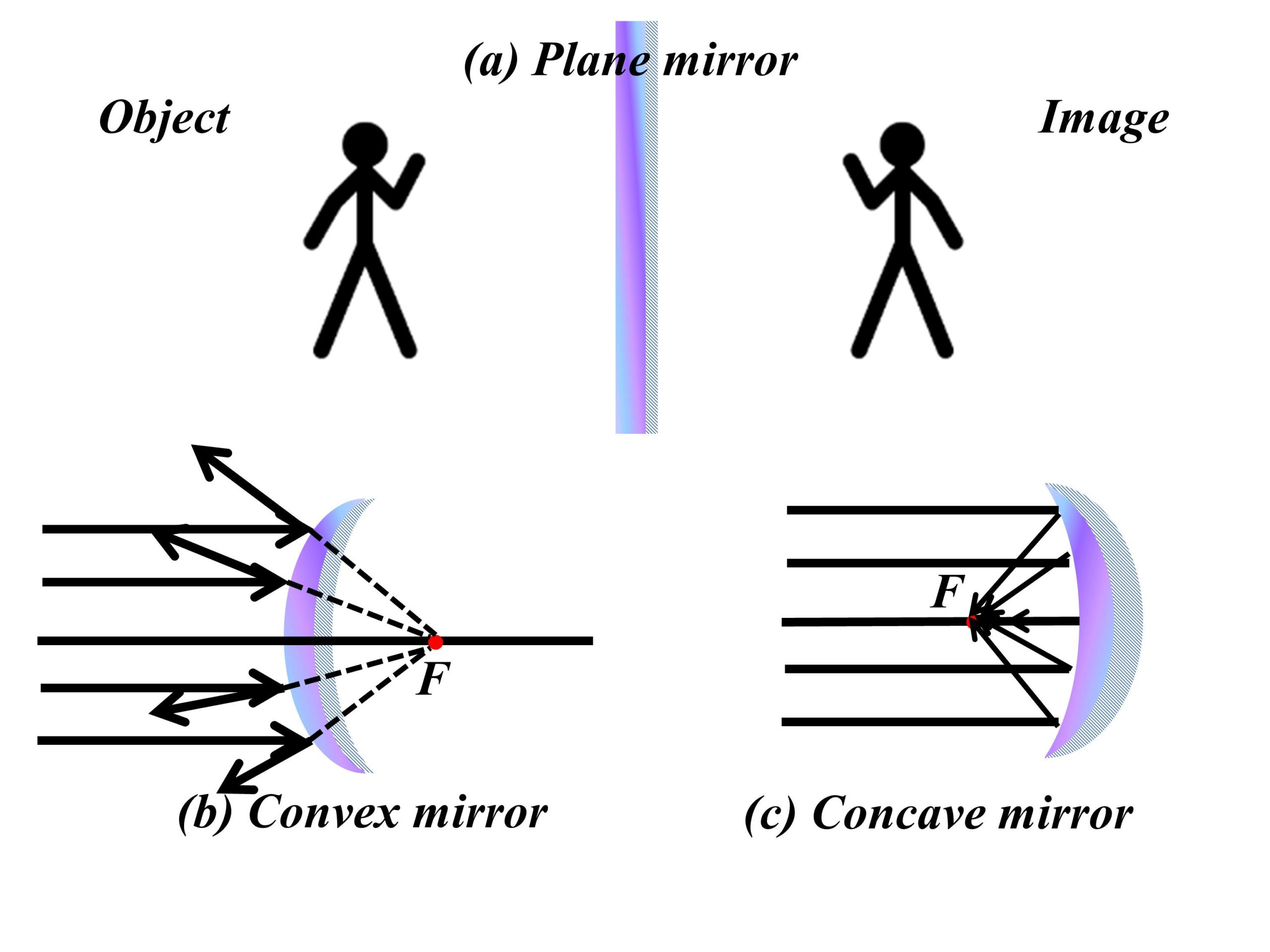 Types of mirrors (plane, convex and concave mirrors)