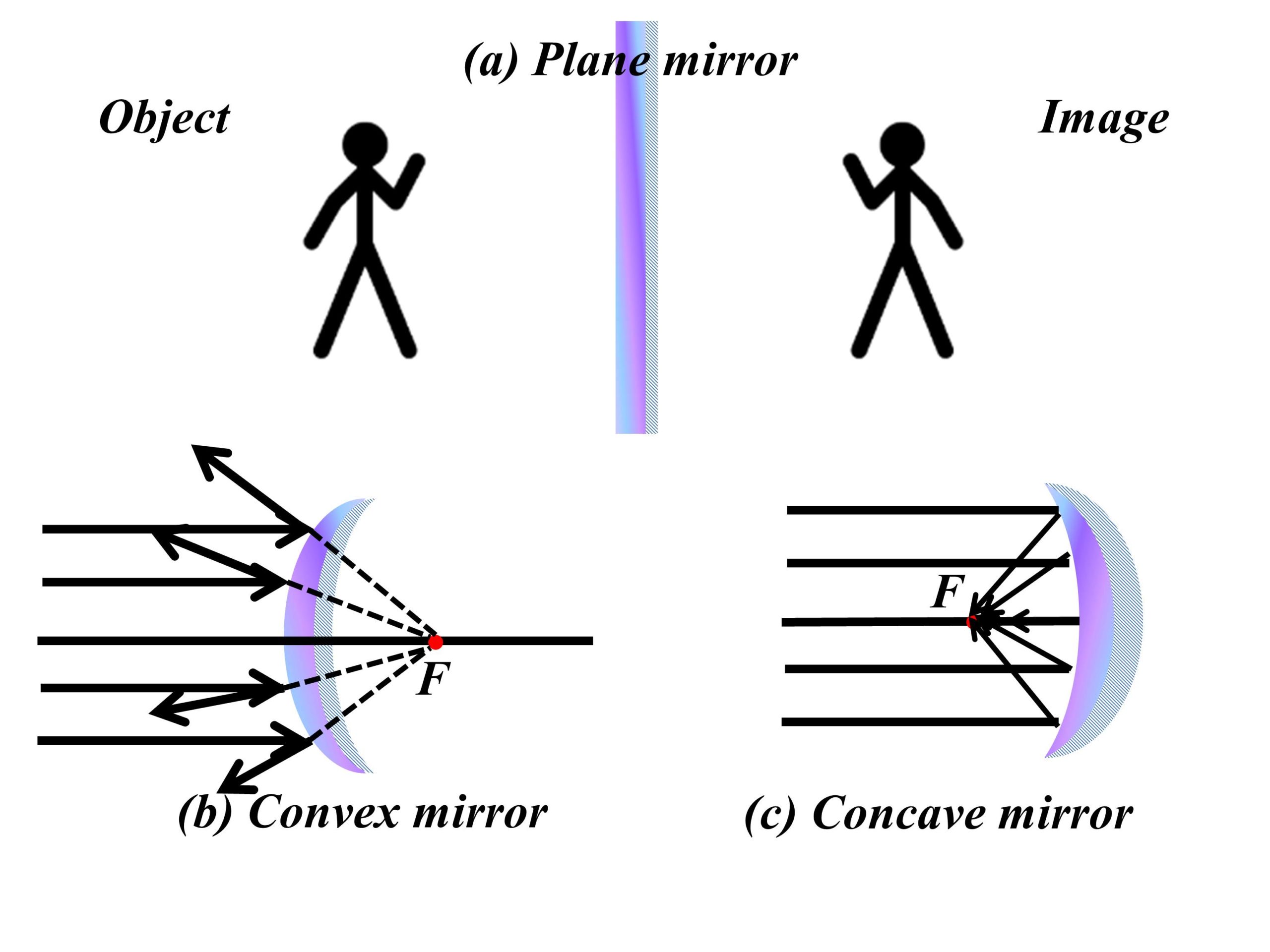 Uses of Convex Mirror: Characteristics, Examples & Meaning - CareerGuide