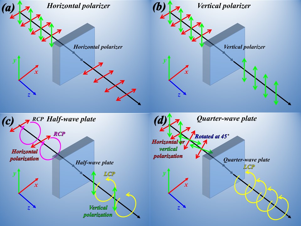 (a) Horizontal polarizer (b) Vertical polarizer (c) Half-wave plate (d) Quarter-wave plate